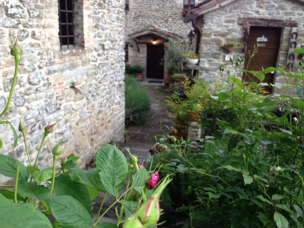 Agriturismo Biologico Castello Della Pieve Mercatello sul Metauro المظهر الخارجي الصورة