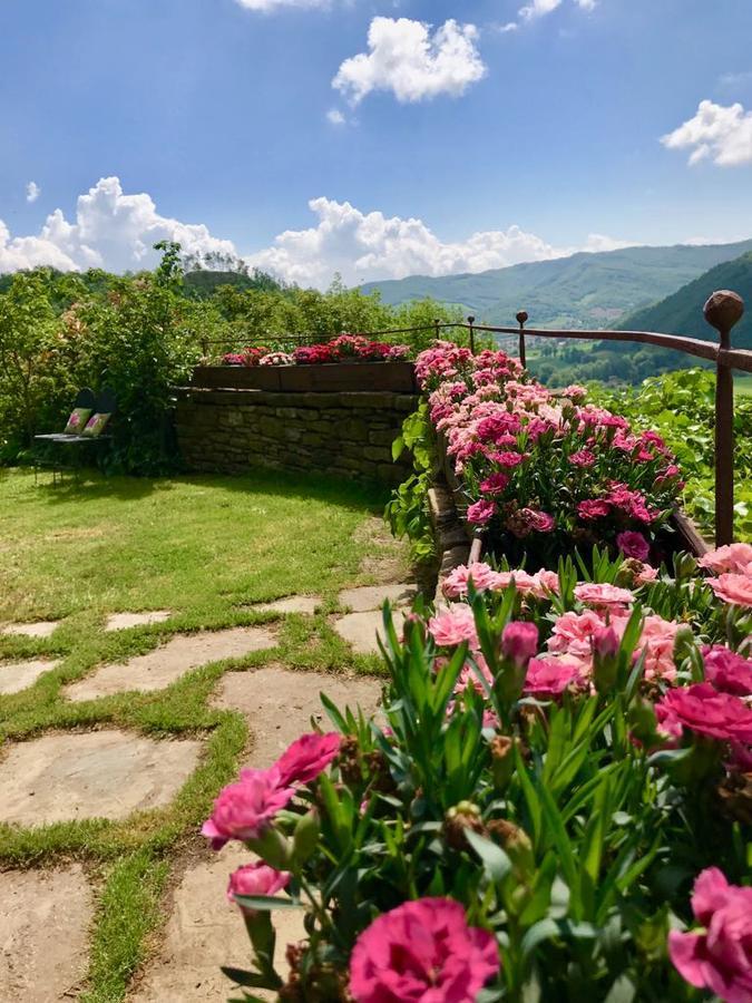 Agriturismo Biologico Castello Della Pieve Mercatello sul Metauro المظهر الخارجي الصورة